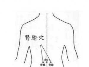 �ι޵ĺô�������Щ �ι�����ЩҪע���