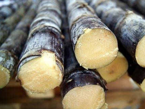 ������������� �����Ը�������ݷ���