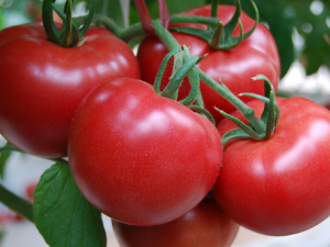 �Է��ѵĽ�������Щ ��ν����Է���