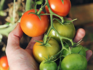 ��ͬ���������Ӧ��η�ɹ