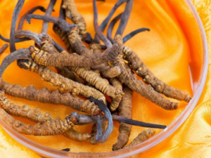 ɣ���Ĺ�Ч���� ɣ���η�ʪʹ��������