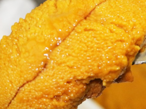 �����Ĺ�Ч���� ��������ɢ�������̵��