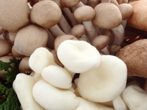 Ů�˴�����ô�Բ����� ��֪����