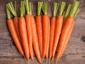 ���ܲ�Ϊʲô�ᷢѿ ���ܲ���ѿ���ܳ���