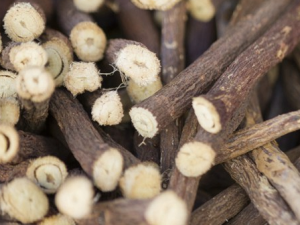 �����巢�׳�ʲô��� �����巢�׵����Ʒ���