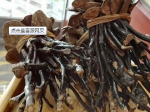 ����֥�Ĺ�Ч������ ����֥�Ľ�����Ⱥ