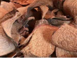 ����������Щ���� �������ΰ���ʹ������ľ����