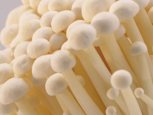 ���빽���������ЩΣ�� ���빽�������ж�