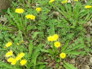 ��������������ƫ������Щ