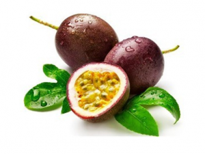 ��Щ�˲��ʺϳ԰���� �԰��������Щ����