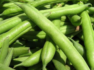 �ļ��������ѡ �ļ�����ѡ������