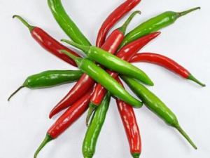 �����������������ֹ�ϻ� һ�����˽�һ�°�