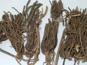 �����ɵĹ�Ч���� �����ɿ�ɢ����ʪ����ͨ��