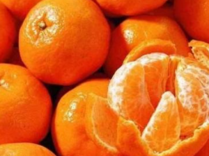 ������ҲҪע�� ��֪�������ӵĽ�����