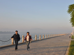 ����ɢ������Щ���� ����ɢ������������