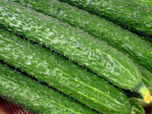 �ƹϵ�Ӫ����ֵ ������ѡӪ���õĻƹ�