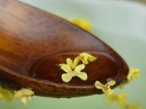 ��¶�Ĺ�Ч���� ��¶���������������