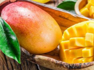 ���ʹ�����Щ��֪���� �ļ�����̰�����ʹ�