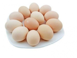 ������������Щʳ��ͬʳ�� ��֪����