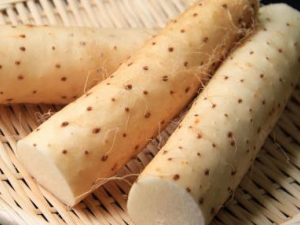 �＾�������Գ�ɽҩ�� ɽҩ��������Щʳ��һ�����