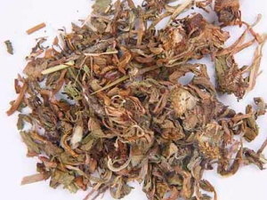 ���Գ�������Щ֢״ ���Գ��׵�����ƫ��