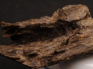 ٤���Ĺ�Ч���� ٤��������Ʋ���