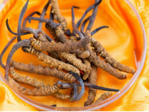 �����׵�֢״���� �����׵���ʳ����