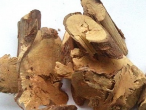 �����ݸ��Ĺ�Ч���� �����ݸ��β���ʹ