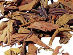 ��ʯΤ�Ĺ�Ч���� ��ʯΤ��ʪк������С��