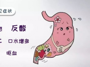 ����������Ӧ�������ʳ �������������ʳ����