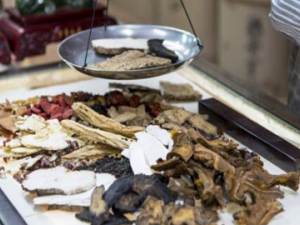 ��ɫʳ��������ڲ��� ��֪����