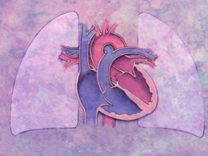 9���ֶ�����ר������9�ַ��˵ĳ������� ѧ������