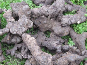 ���ߵĹ�Ч���� ������������ˮ��