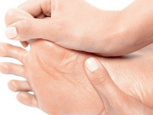 ������Ƣ��С���� һ����ѧѧ��