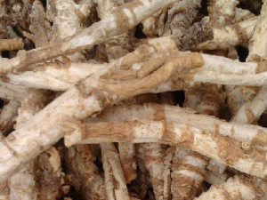 ��ʪ������ô�� ��Щƫ�������Ʒ�ʪ��