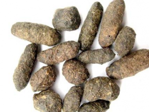 ����֬����Щ��Ч ����֬�������¾�����