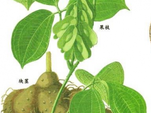 ����ݹ�Ĺ�Ч���� ����ݹ��Ӹ���׶�