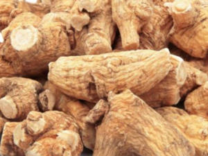 ��ʪ�Թؽ���������� ��ҽ����Щƫ����