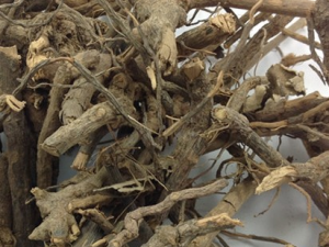 ��ţ���Ĺ�Ч���� ��ţ���ε���ʯ��������