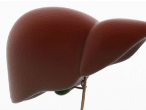 ����λ�����ԭ�� ����λ�����ε���