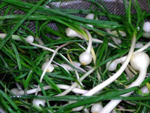 ޯ������Щ��Ч���� ޯ��Ϊ�����رԵĳ���ҩ