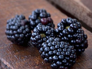 ���˲�����ʲô�� ��ɫʳ���в�����Ч��