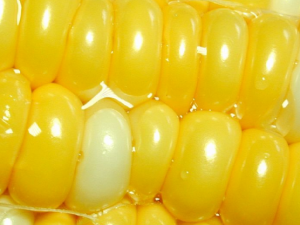 �����׺������׵����� �����ѡ������