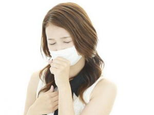 ��Щʳ������𼡷����� ���������Ļ�������