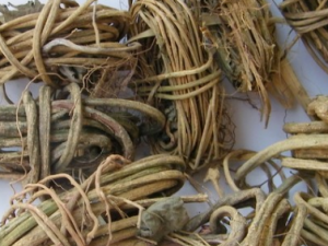 �׼�ʺ�ٵĹ�Ч���� �׼�ʺ����Ʀ�鸹��