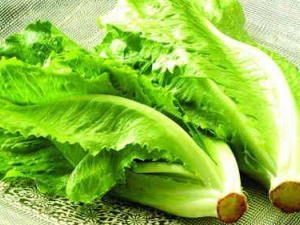 ���ĵĹ�Ч���� ���������괯