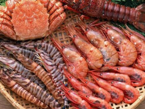 �Ժ��ʺ�Ȳ賤��ʯ ����ơ��ͬ����ʹ��