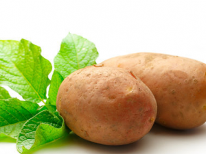 ������ѿ���ܳ��� ������ѿ���˶������Σ��