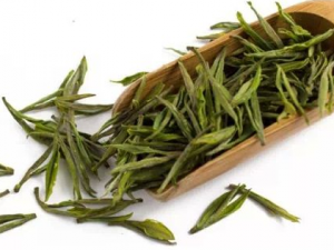 �׿���Ҷ�Ĺ�Ч���� �׿���Ҷ���ֹ���η������