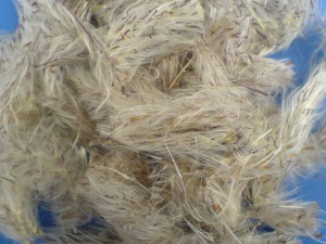 ��é���Ĺ�Ч���� ��é���α���